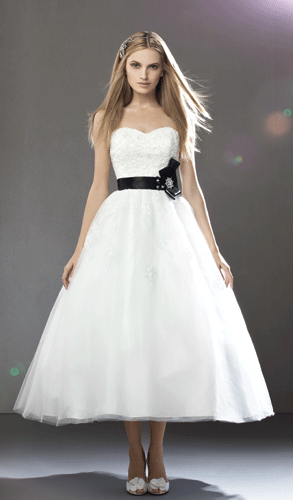 Cassidy Sara - Style D318