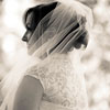 Veil and lace detail on the back of a wedding dress