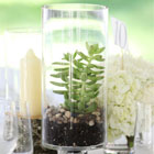 14 Dazzling reception details