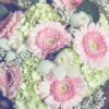 Rustic bouquet with light pink daisies and additional green and white flowers.