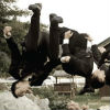 Groomsmen