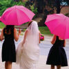 Bridesmaids