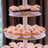 Wedding cupcakes