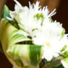 Elegant white bouquet, hand-tied with lace