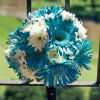 White and neon blue gerbera daisy bouquet