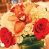 Red & white flowers