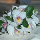 Island-inspired bouquet with white alstroemeria and assorted greenery