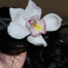 fascinator