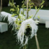 wedding reception flowers