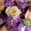 Beautiful nosegay bouquet with cream and purple flowers