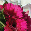wedding flowers