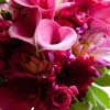 Vibrant fuchsia and pink bouquet with pink calla lillies, fuchsia roses, and fuschia gerbera daisies